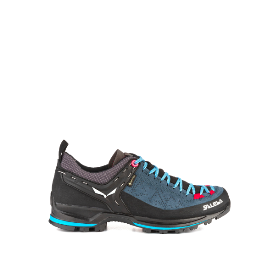 Poza cu Incaltaminte Dama Mountain Trainer II GTX