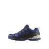 Poza cu Pantofi Alergare Trail Barbati Salomon XA PRO 3D V9 GTX Blue Print / Surf The Web / Lapis Blue