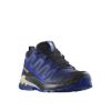 Poza cu Pantofi Alergare Trail Barbati Salomon XA PRO 3D V9 GTX Blue Print / Surf The Web / Lapis Blue