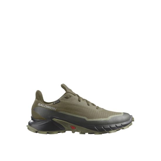 Poza cu Pantof Alergare Trail Barbati Salomon Alphacross 5 GTX Olive Night / Black / Deep Lichen Green