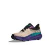 Poza cu Pantofi Alergare Trail Barbati Hoka Challenger ATR 7 Oatmeal/Mountain Iris